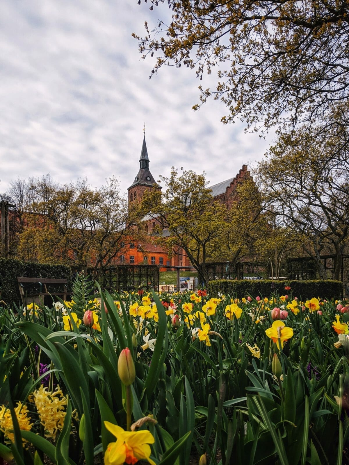 ODENSE SEHENSWÜRDIGKEITEN - 5 DINGE, DIE DU UNBEDINGT IN DER DÄNISCHEN STADT MACHEN SOLLTEST 36 ODENSE SEHENSWÜRDIGKEITEN - 5 DINGE, DIE DU UNBEDINGT IN DER DÄNISCHEN STADT MACHEN SOLLTEST 25