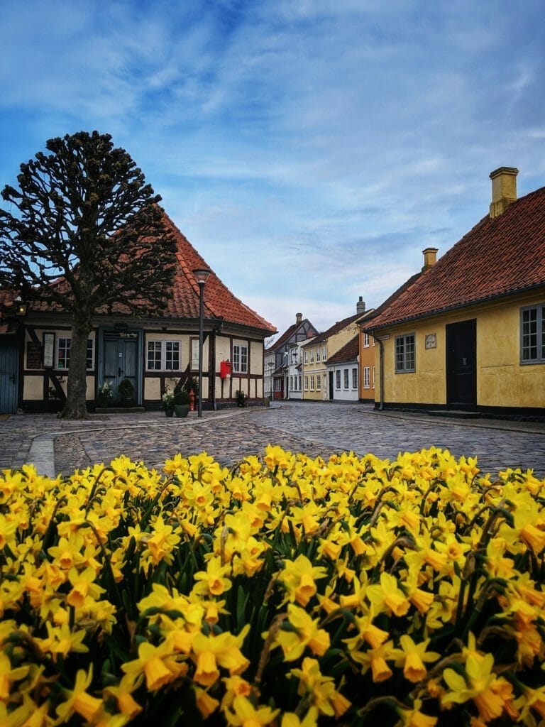 Die bunten Straßen in Odense - Odense Sehenswürdigkeiten
