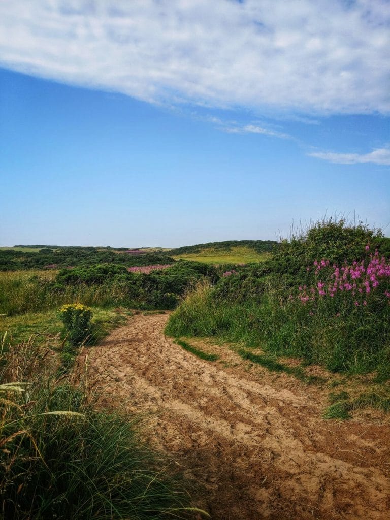 ABERDEEN SEHENSWÜRDIGKEITEN: EIN PERFEKTES WOCHENENDE IN ABERDEEN & DER REGION ABERDEENSHIRE 18 ABERDEEN SEHENSWÜRDIGKEITEN: EIN PERFEKTES WOCHENENDE IN ABERDEEN & DER REGION ABERDEENSHIRE 13