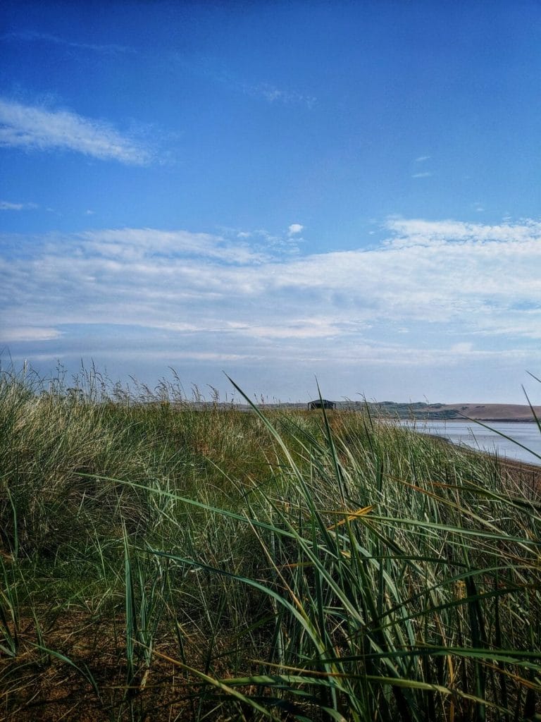 ABERDEEN SEHENSWÜRDIGKEITEN: EIN PERFEKTES WOCHENENDE IN ABERDEEN & DER REGION ABERDEENSHIRE 20 ABERDEEN SEHENSWÜRDIGKEITEN: EIN PERFEKTES WOCHENENDE IN ABERDEEN & DER REGION ABERDEENSHIRE 15