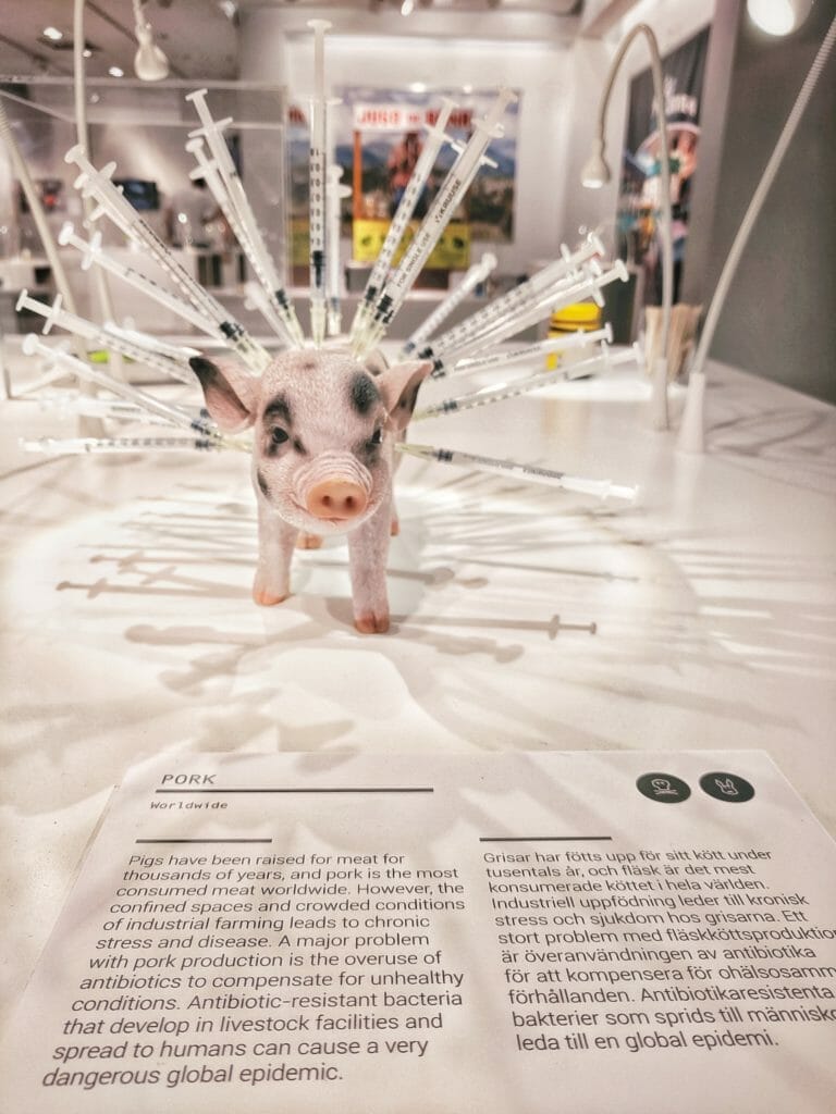 MALMÖ SEHENSWÜRDIGKEITEN UND INSIDER TIPPS 2024 34 Schwein mit Spritzen. Disgusting Food Museum - Malmö Sehenswürdigkeiten