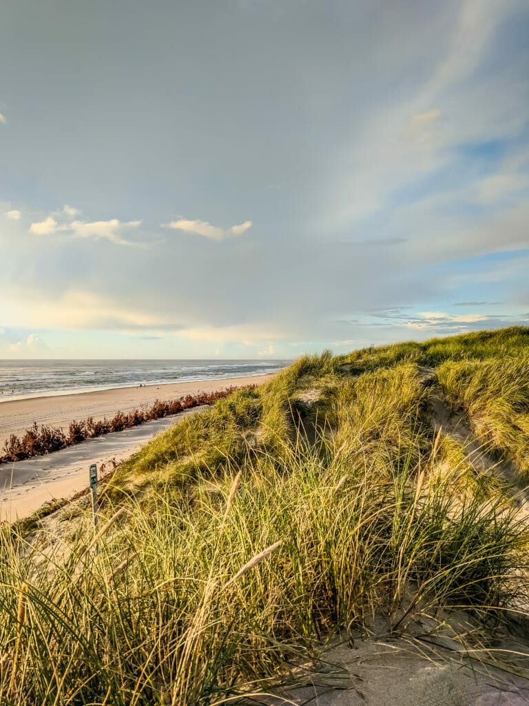 HVIDE SANDE - DENMARKS BEAUTIFUL WEST COAST 80