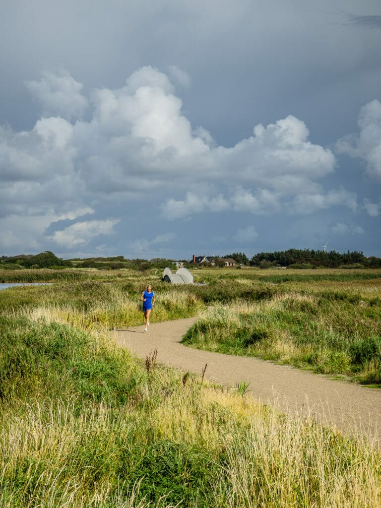 HVIDE SANDE - DENMARKS BEAUTIFUL WEST COAST 91