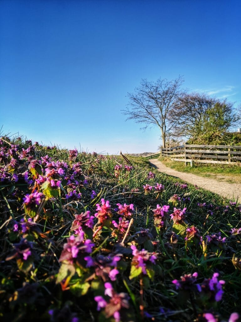 3 GENERATIONEN - 2 WOCHEN - 1 FERIENHAUS 37 3 GENERATIONEN - 2 WOCHEN - 1 FERIENHAUS 35