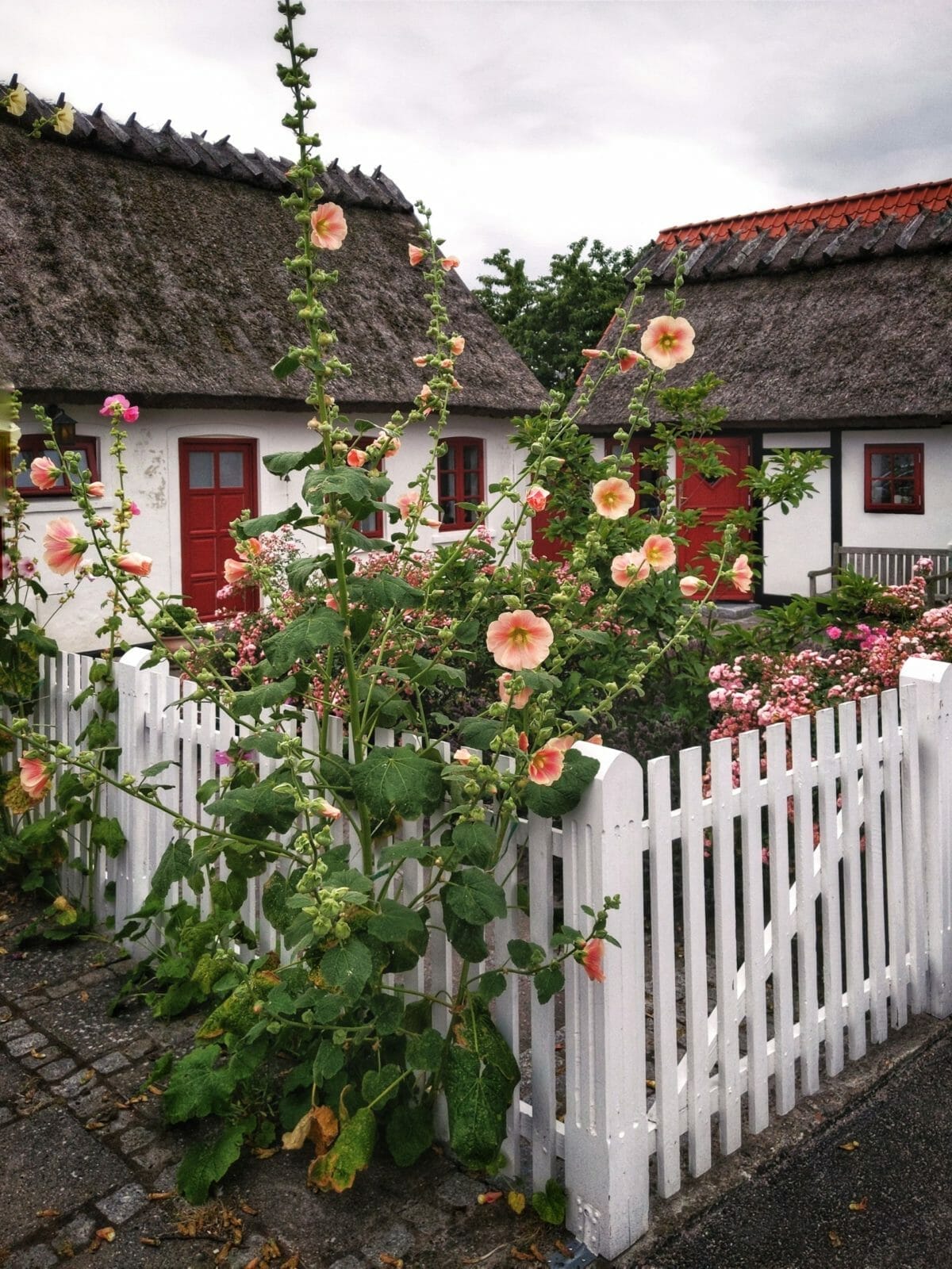 3 TAGE MIT DEM FAHRRAD DURCH NORDSEELAND IN DÄNEMARK 32