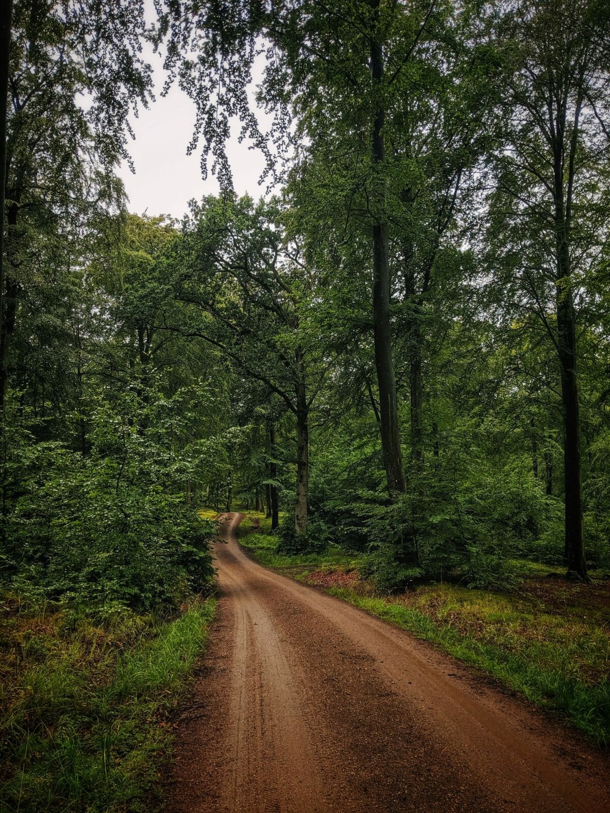 3 TAGE MIT DEM FAHRRAD DURCH NORDSEELAND IN DÄNEMARK 45