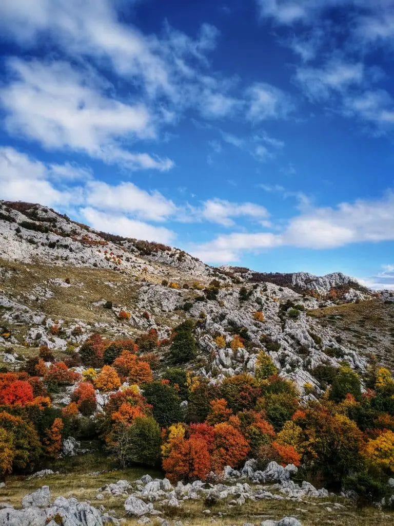 SPÄTHERBST RUND UM UNSER FERIENHAUS IN DALMATIEN 40