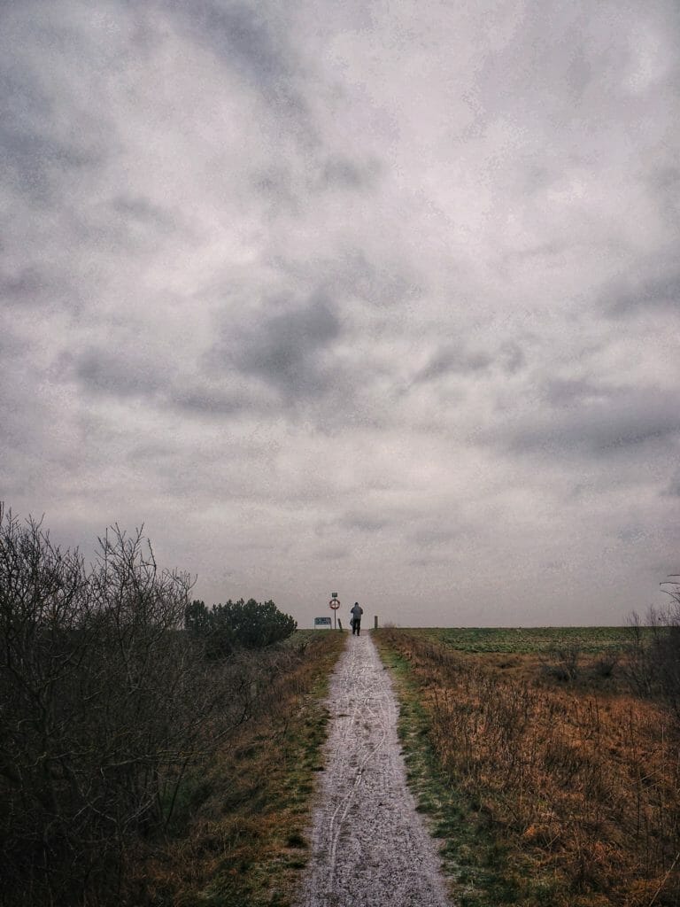 72 AMAZING HOURS ON LOLLAND 16 72 AMAZING HOURS ON LOLLAND 14