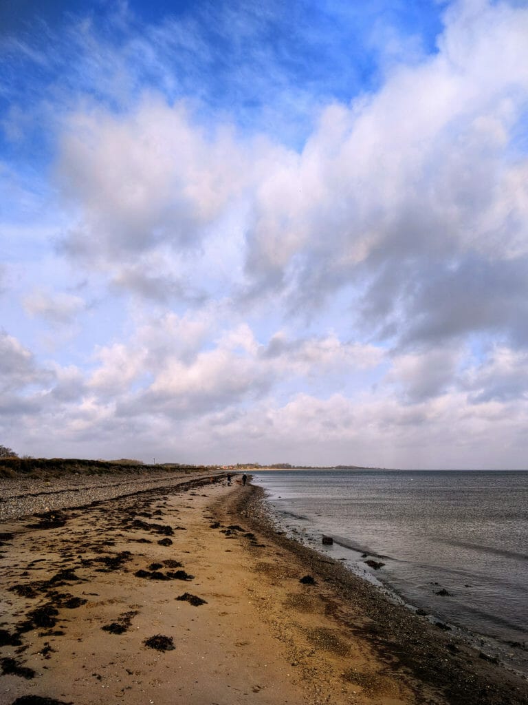 SCHLEI FJORD - SLOWLY INTO 2018 24 SCHLEI FJORD - SLOWLY INTO 2018 23