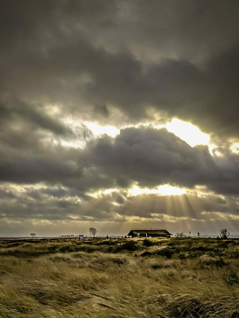 SCHLEI FJORD - SLOWLY INTO 2018 23 SCHLEI FJORD - SLOWLY INTO 2018 22