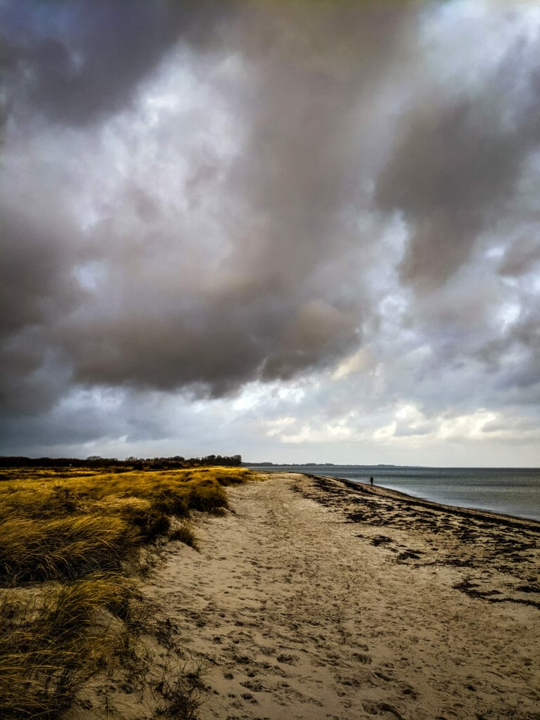 SCHLEI FJORD - SLOWLY INTO 2018 25 SCHLEI FJORD - SLOWLY INTO 2018 24