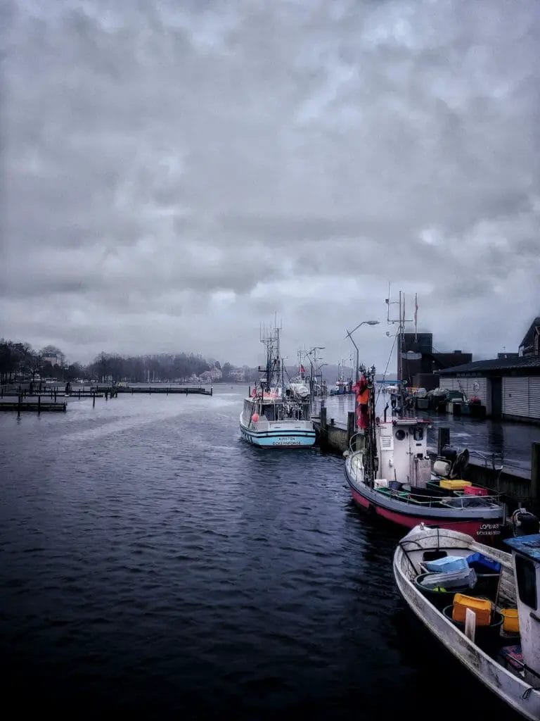 SCHLEI FJORD - SLOWLY INTO 2018 1