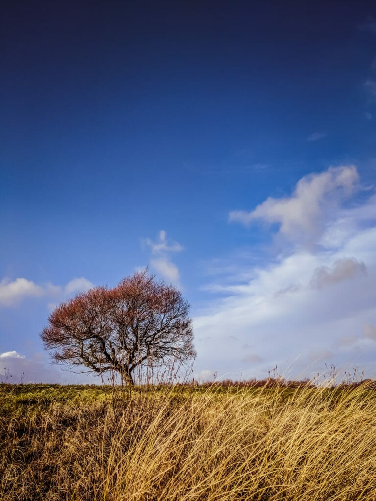 SCHLEI FJORD - SLOWLY INTO 2018 28 SCHLEI FJORD - SLOWLY INTO 2018 27