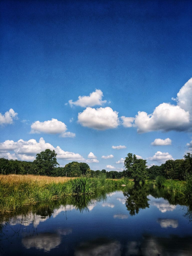 BREATHTAKING NATURE SPOTS IN SKANE, SWEDEN 50