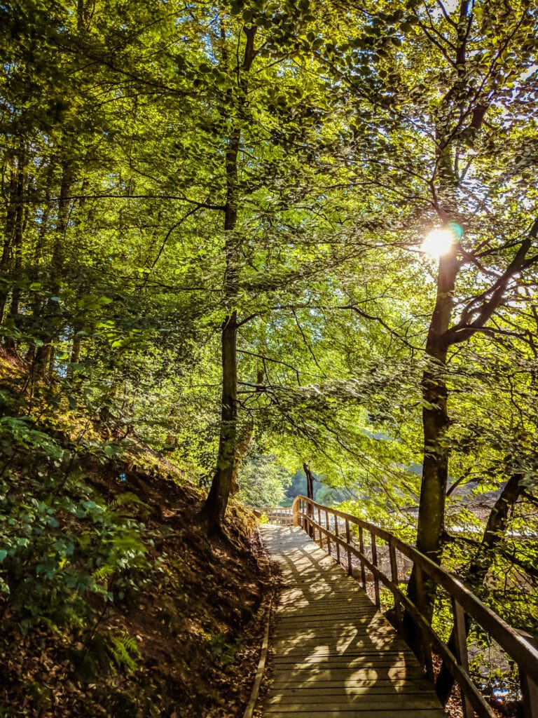 BREATHTAKING NATURE SPOTS IN SKANE, SWEDEN 62