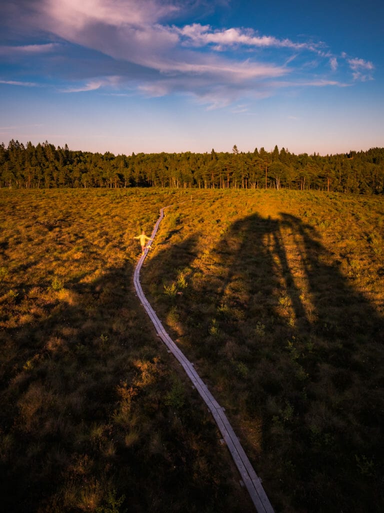 BREATHTAKING NATURE SPOTS IN SKANE, SWEDEN 67