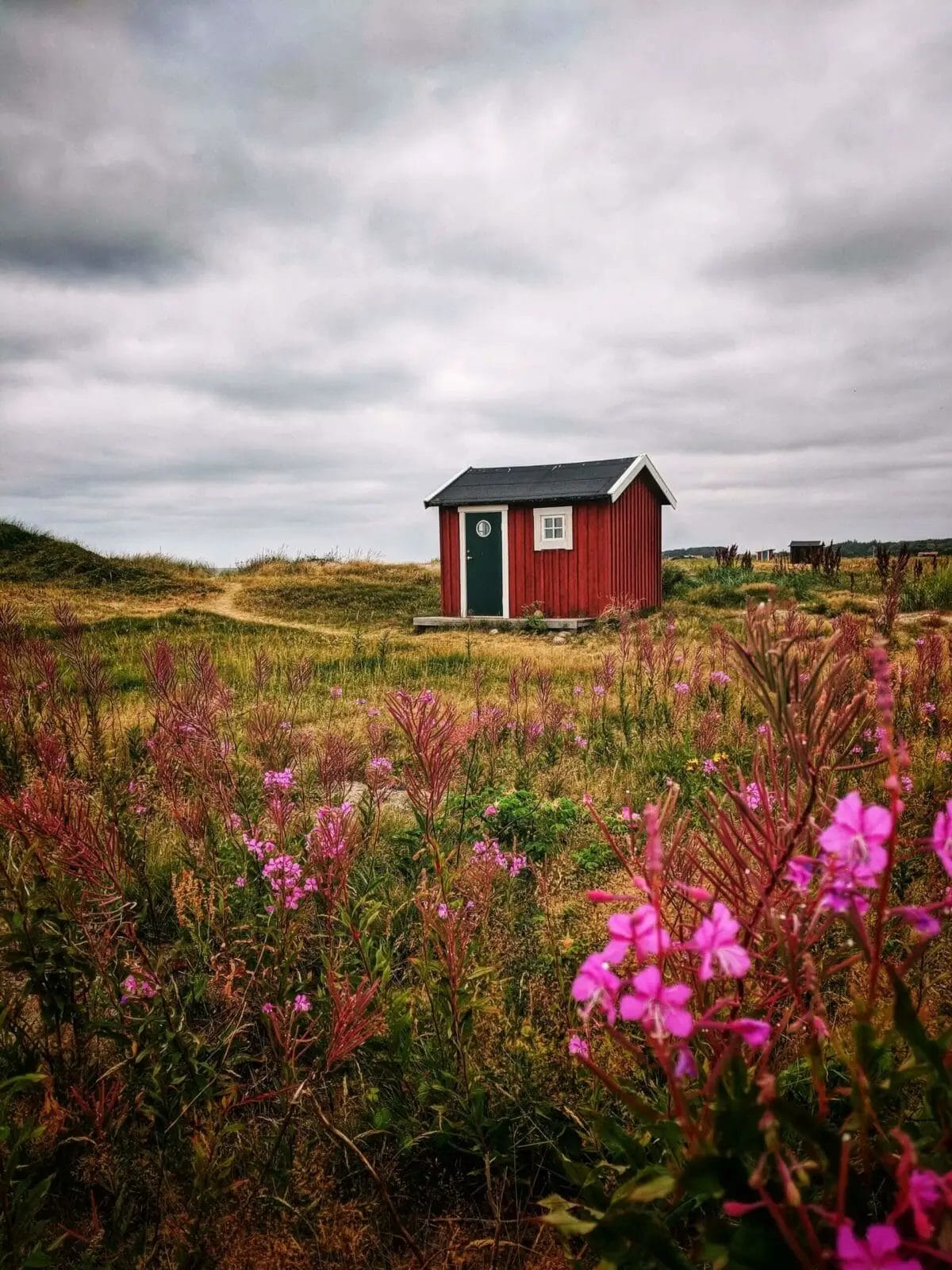 A PHOTO LOVERS GUIDE TO SKÅNE, SWEDEN 4