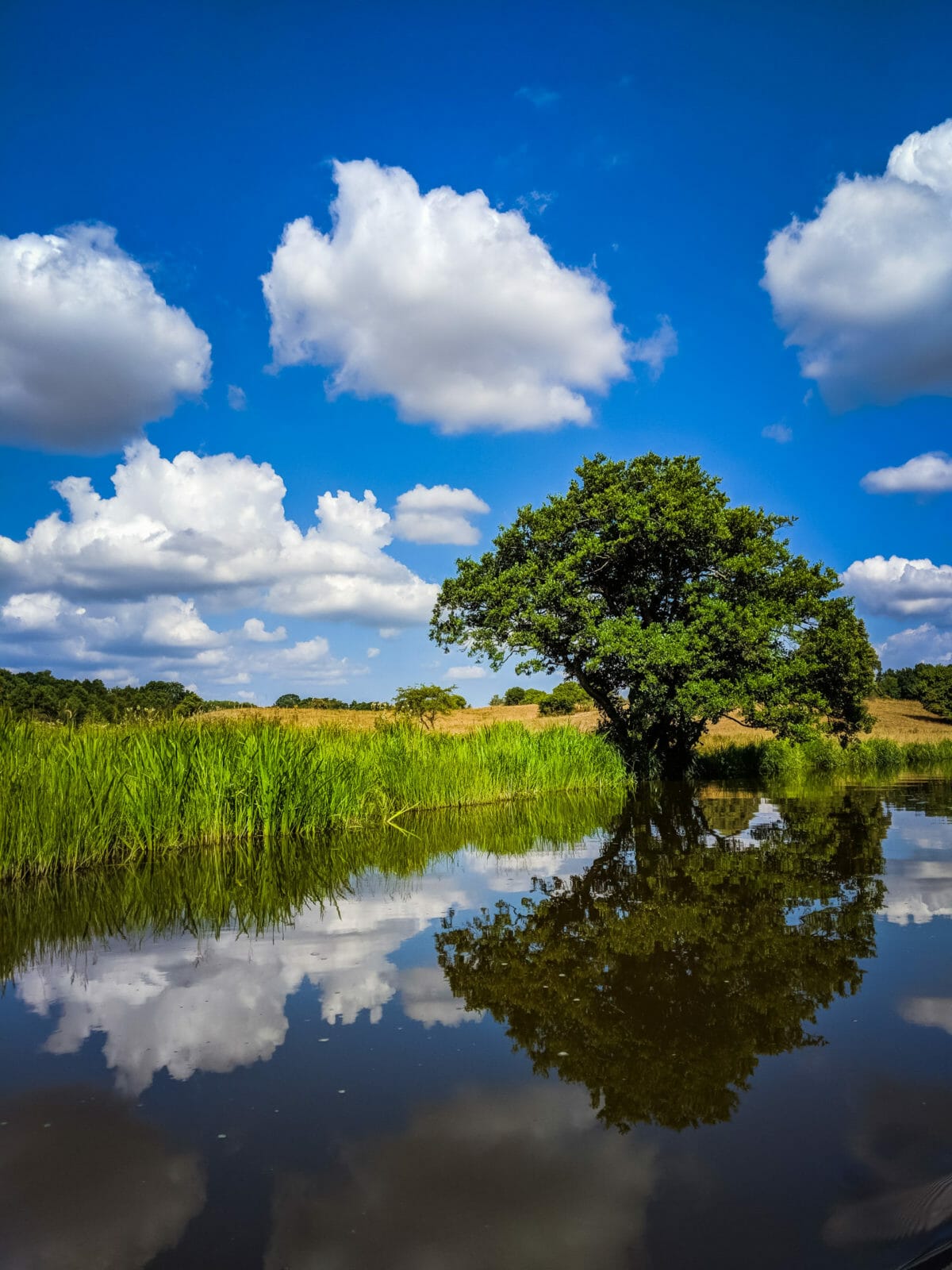 ATEMBERAUBENDE NATUR ERLEBEN IN SKANE, SCHWEDEN 57