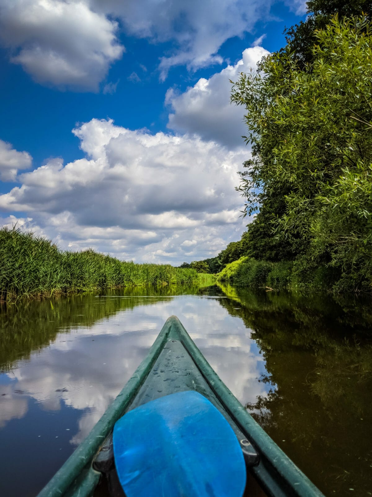 ATEMBERAUBENDE NATUR ERLEBEN IN SKANE, SCHWEDEN 58