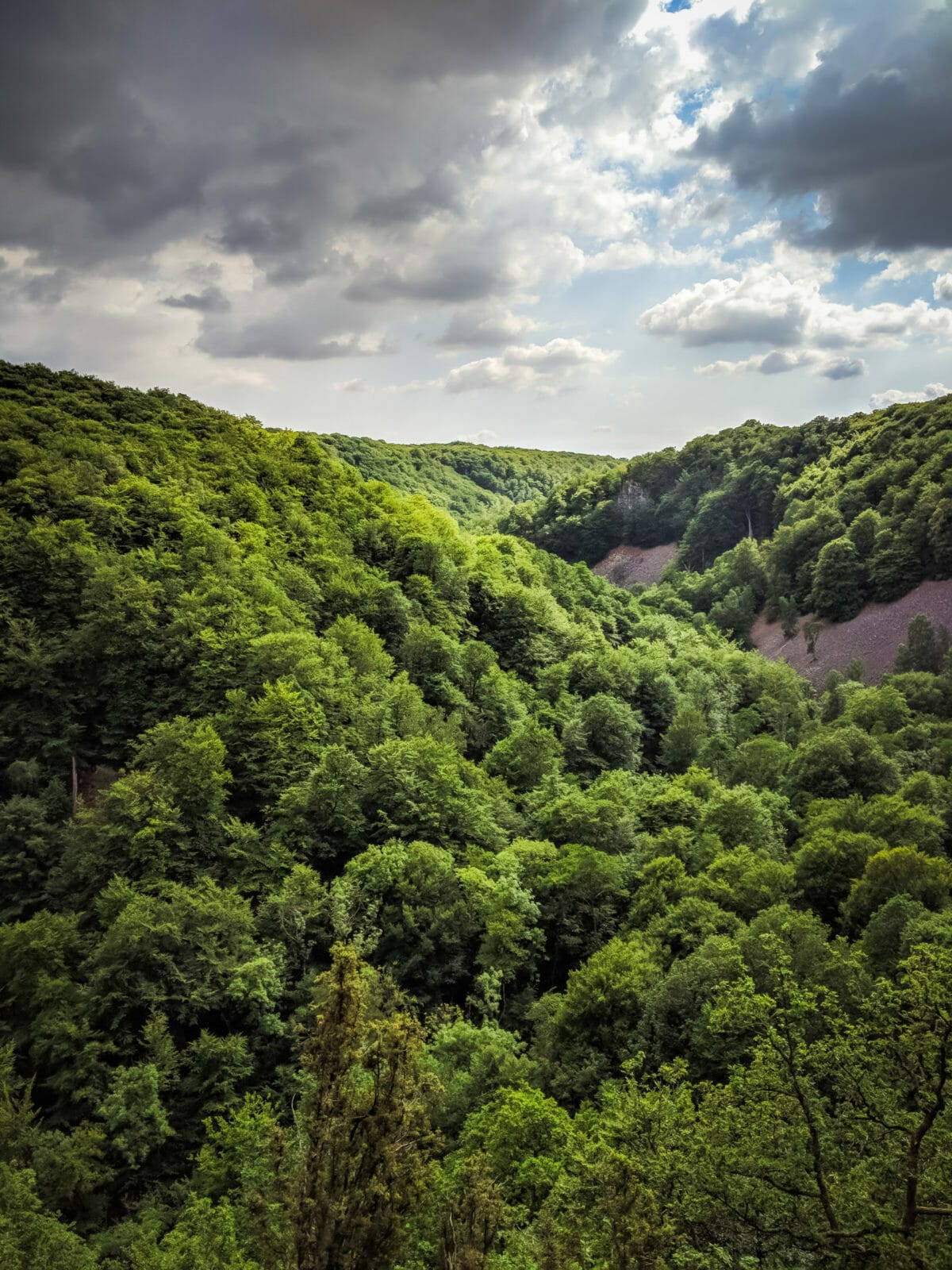 ATEMBERAUBENDE NATUR ERLEBEN IN SKANE, SCHWEDEN 63