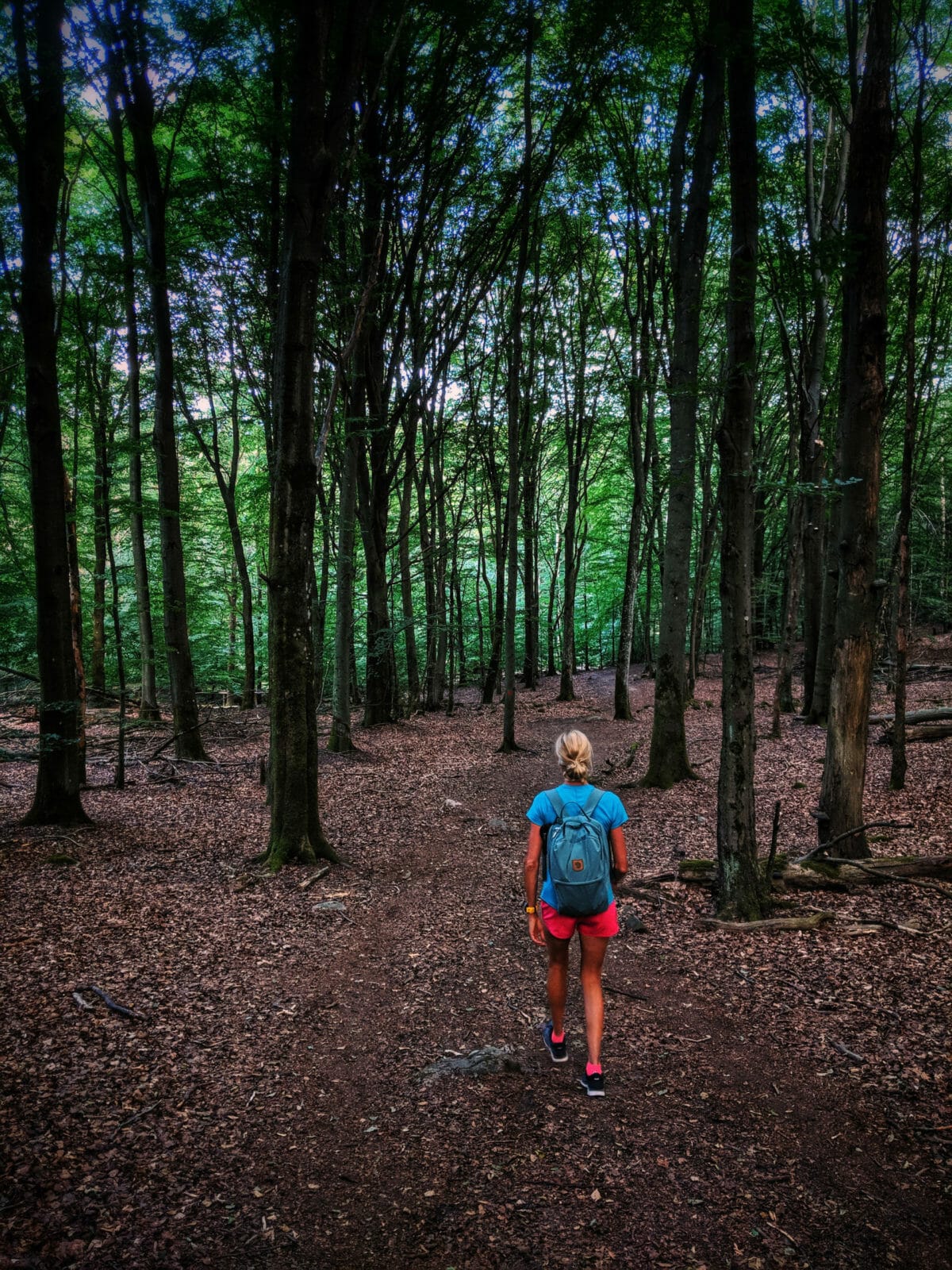 ATEMBERAUBENDE NATUR ERLEBEN IN SKANE, SCHWEDEN 67