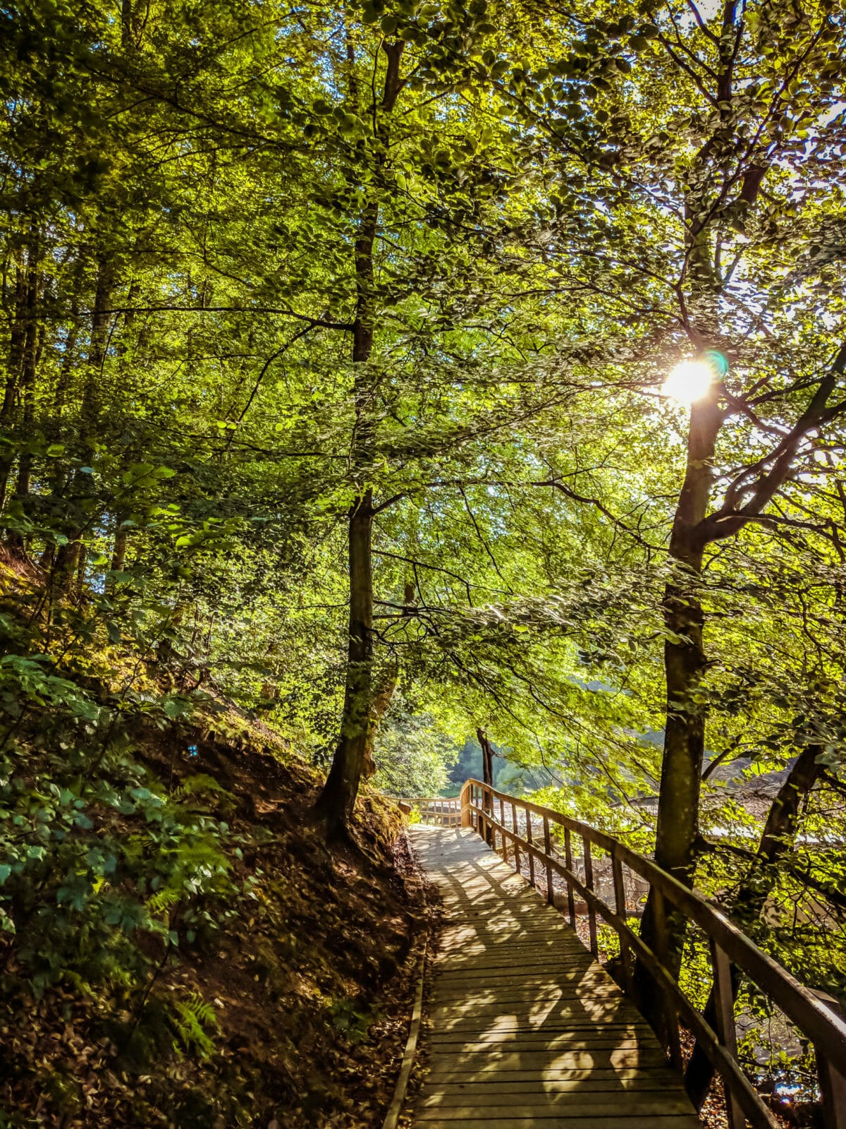 ATEMBERAUBENDE NATUR ERLEBEN IN SKANE, SCHWEDEN 68