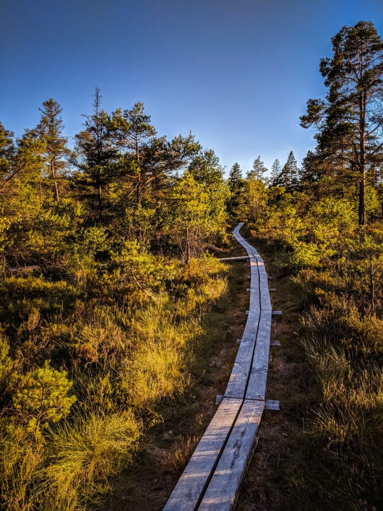BREATHTAKING NATURE SPOTS IN SKANE, SWEDEN 63