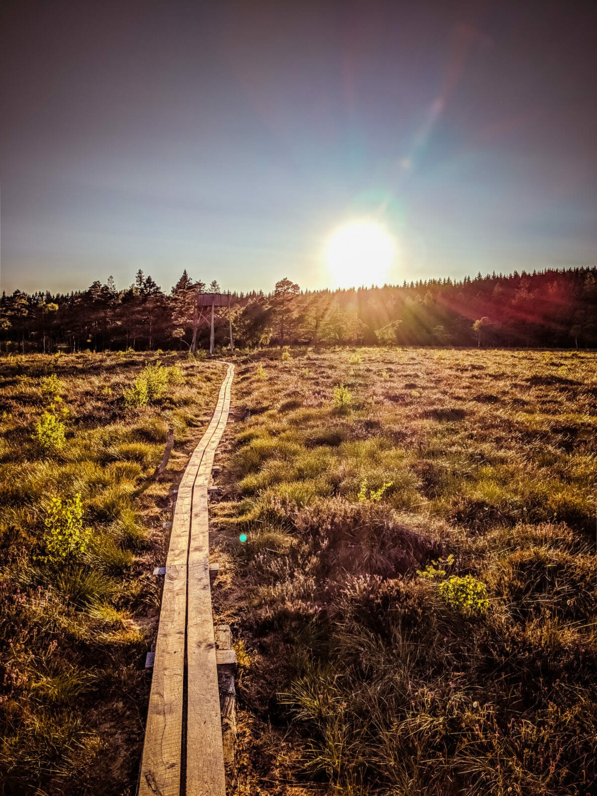 ATEMBERAUBENDE NATUR ERLEBEN IN SKANE, SCHWEDEN 71