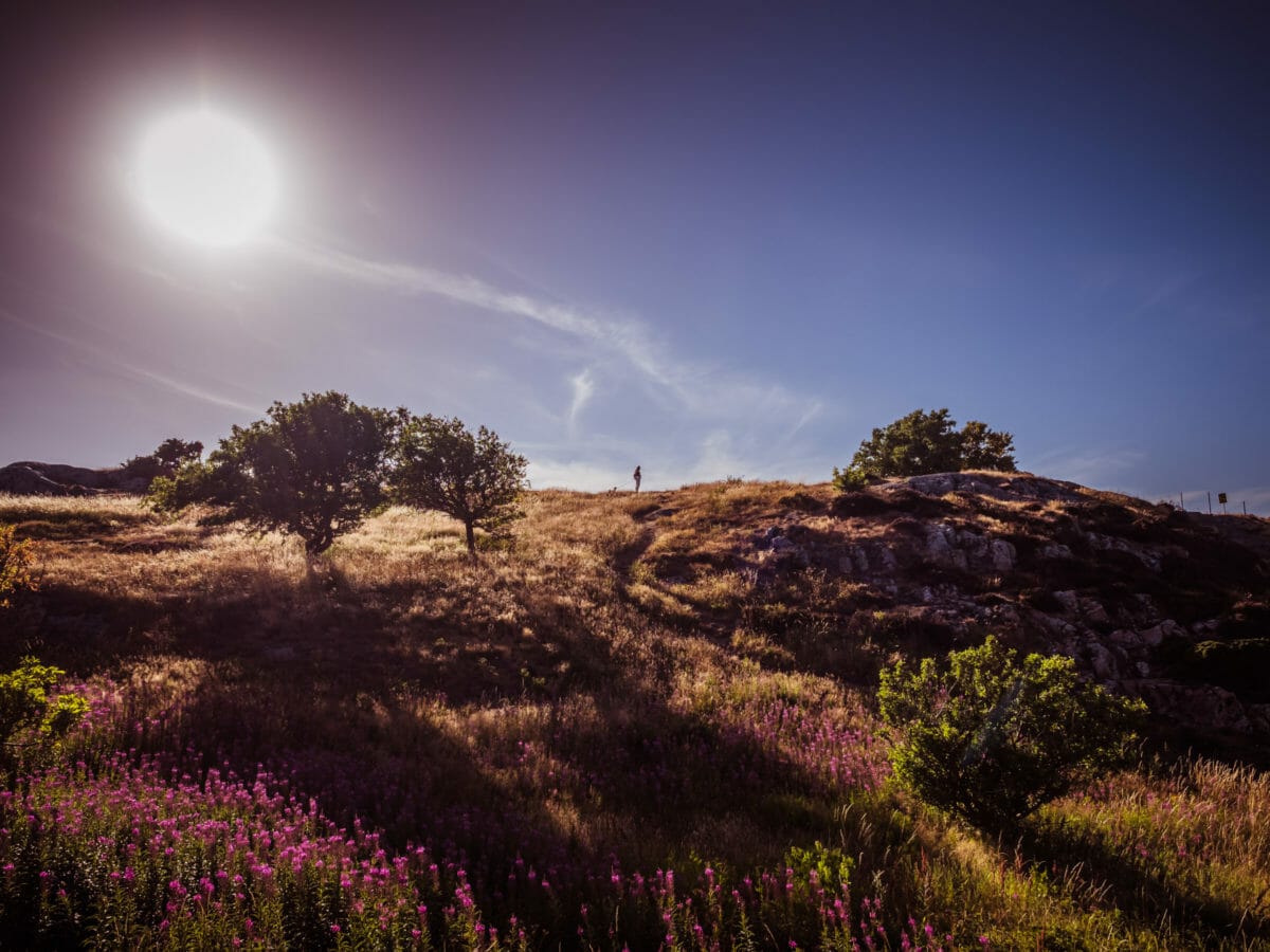 ATEMBERAUBENDE NATUR ERLEBEN IN SKANE, SCHWEDEN 23