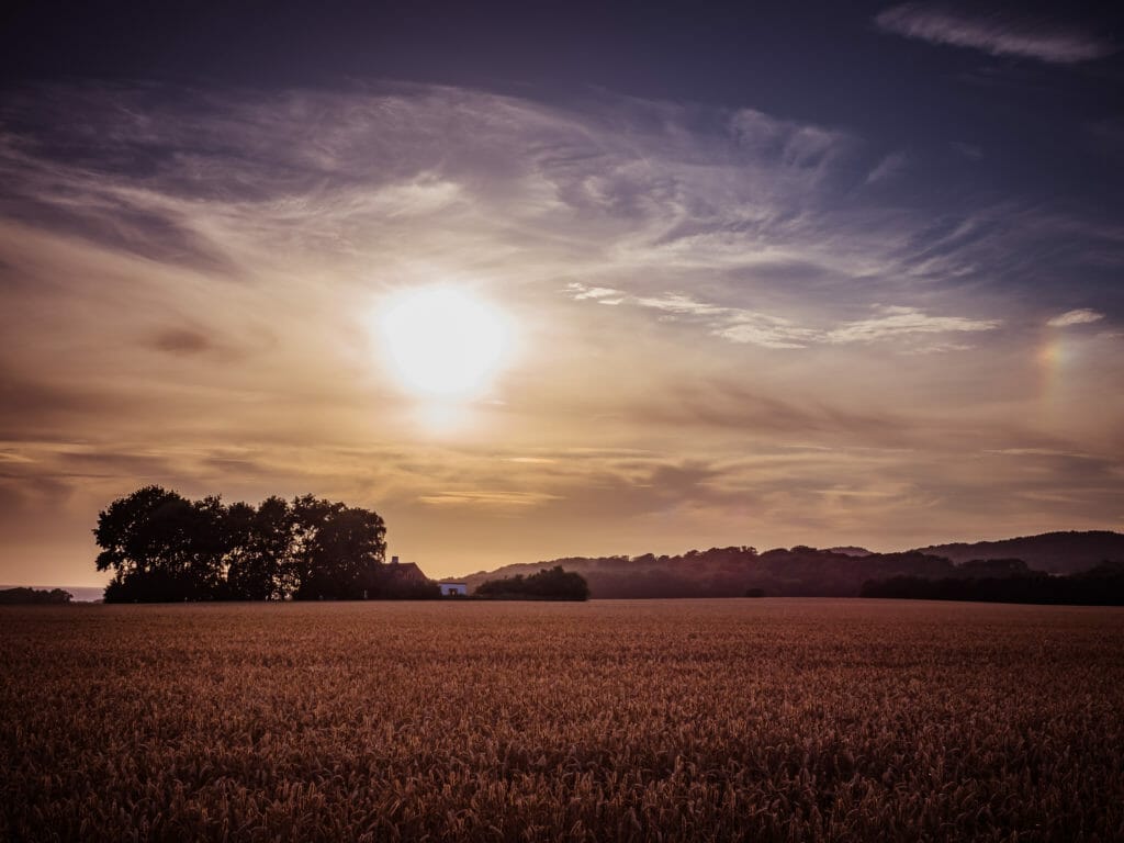 BREATHTAKING NATURE SPOTS IN SKANE, SWEDEN 22