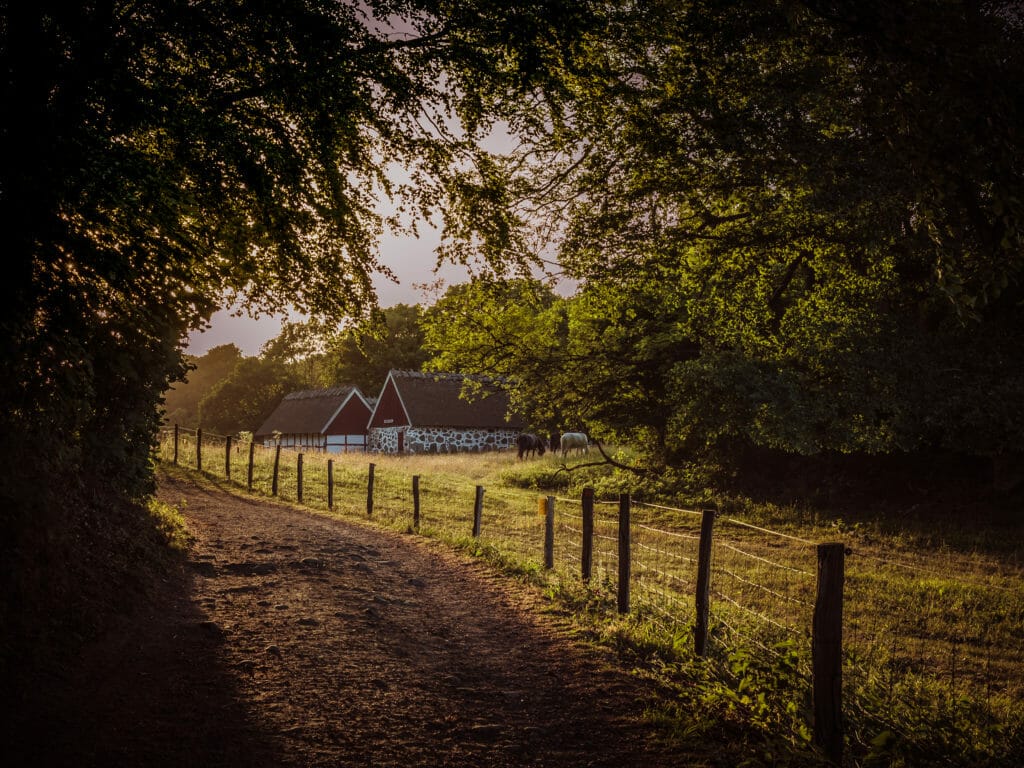 BREATHTAKING NATURE SPOTS IN SKANE, SWEDEN 23