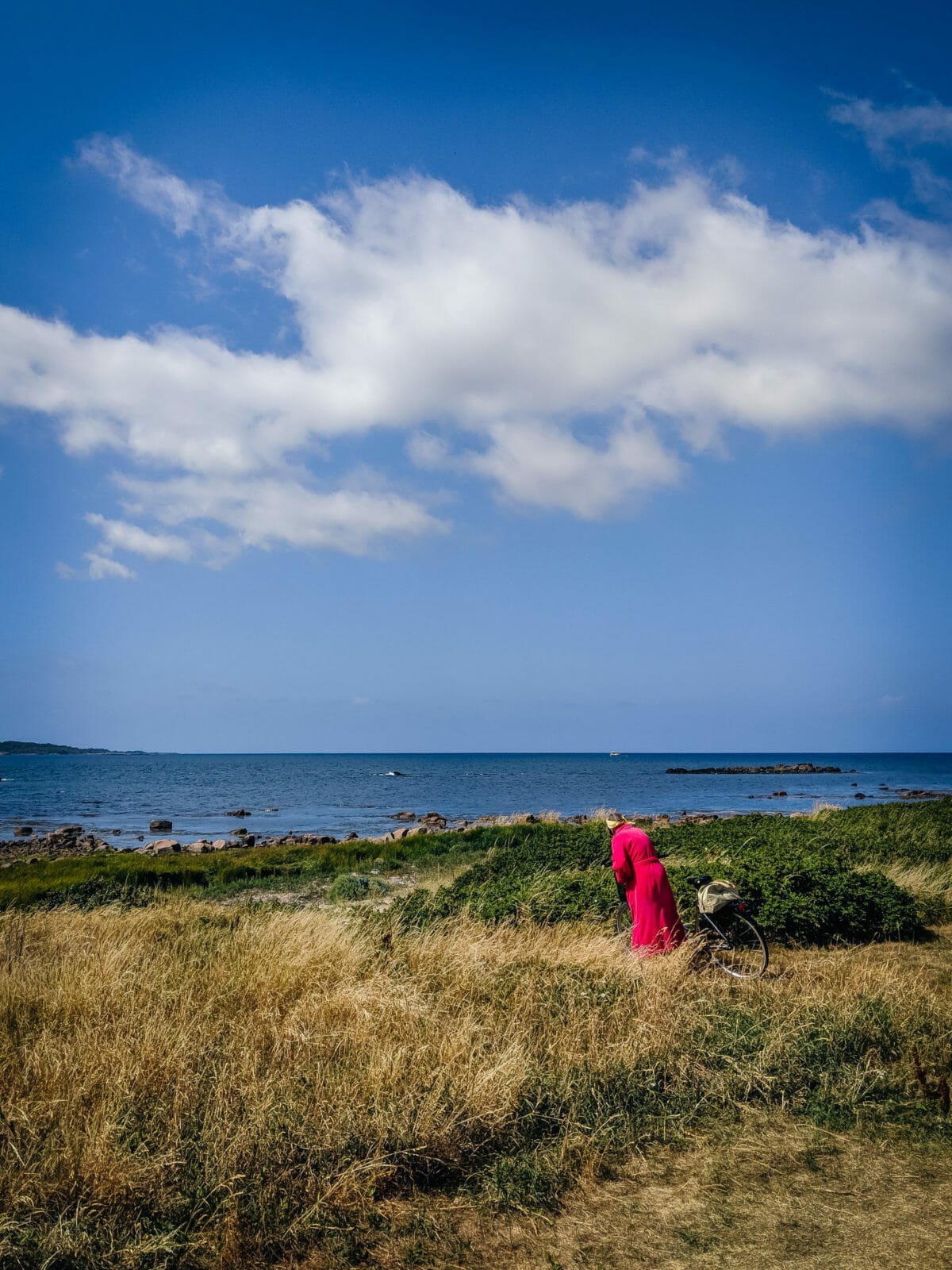 ATEMBERAUBENDE NATUR ERLEBEN IN SKANE, SCHWEDEN 13