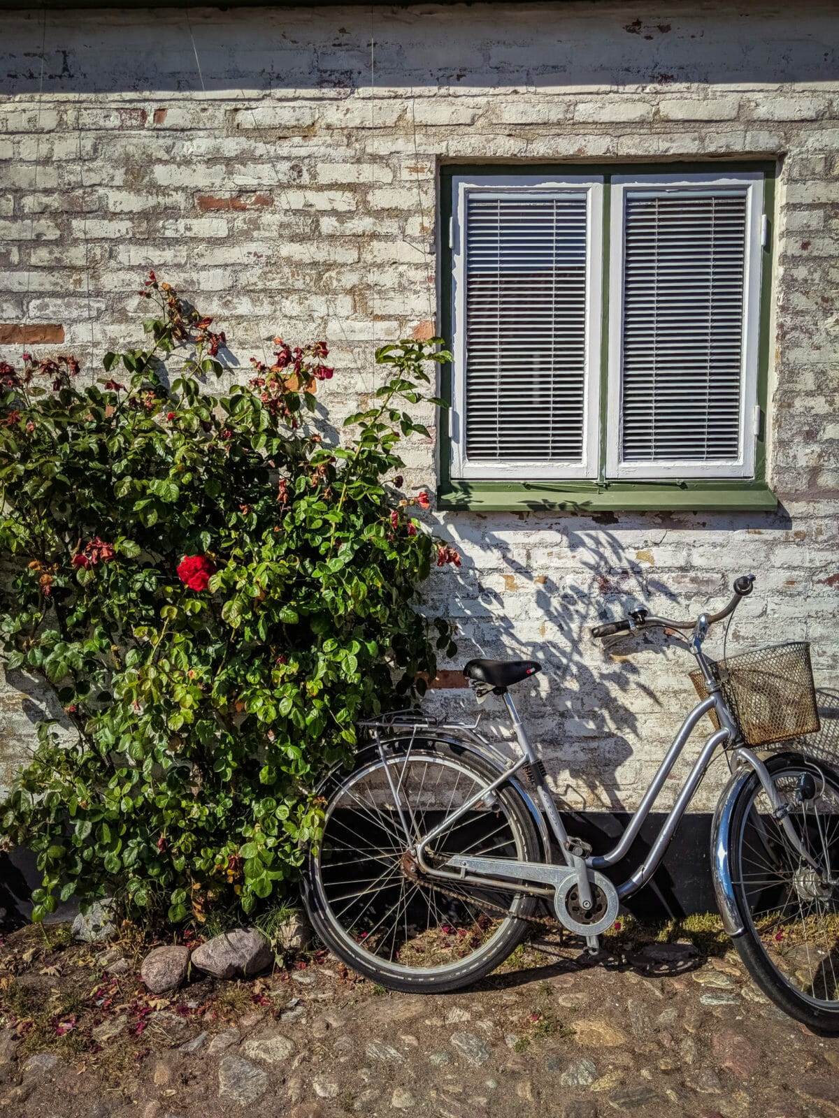 ATEMBERAUBENDE NATUR ERLEBEN IN SKANE, SCHWEDEN 42