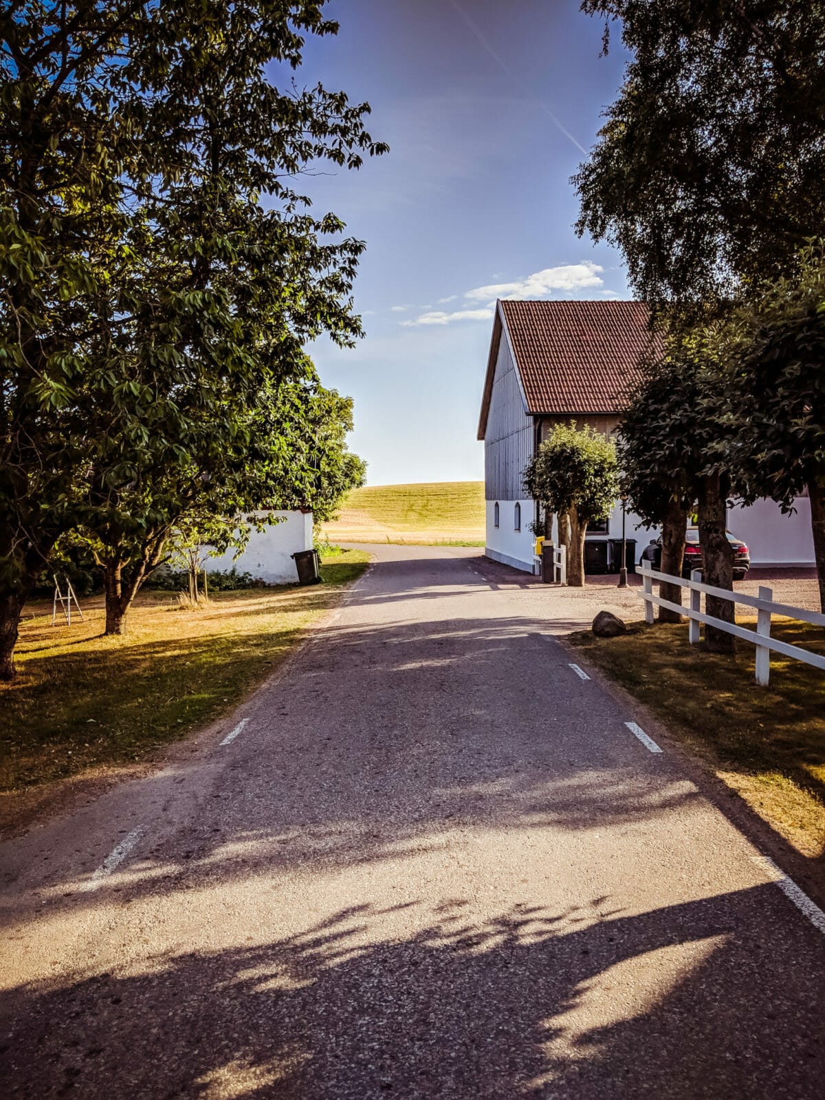 ATEMBERAUBENDE NATUR ERLEBEN IN SKANE, SCHWEDEN 38