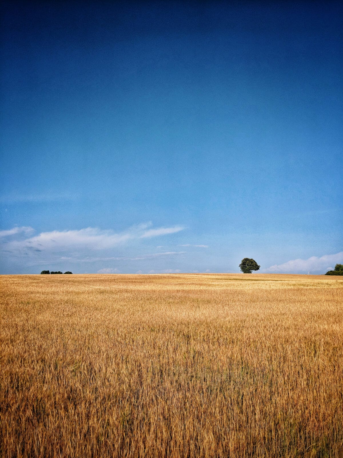 ATEMBERAUBENDE NATUR ERLEBEN IN SKANE, SCHWEDEN 40