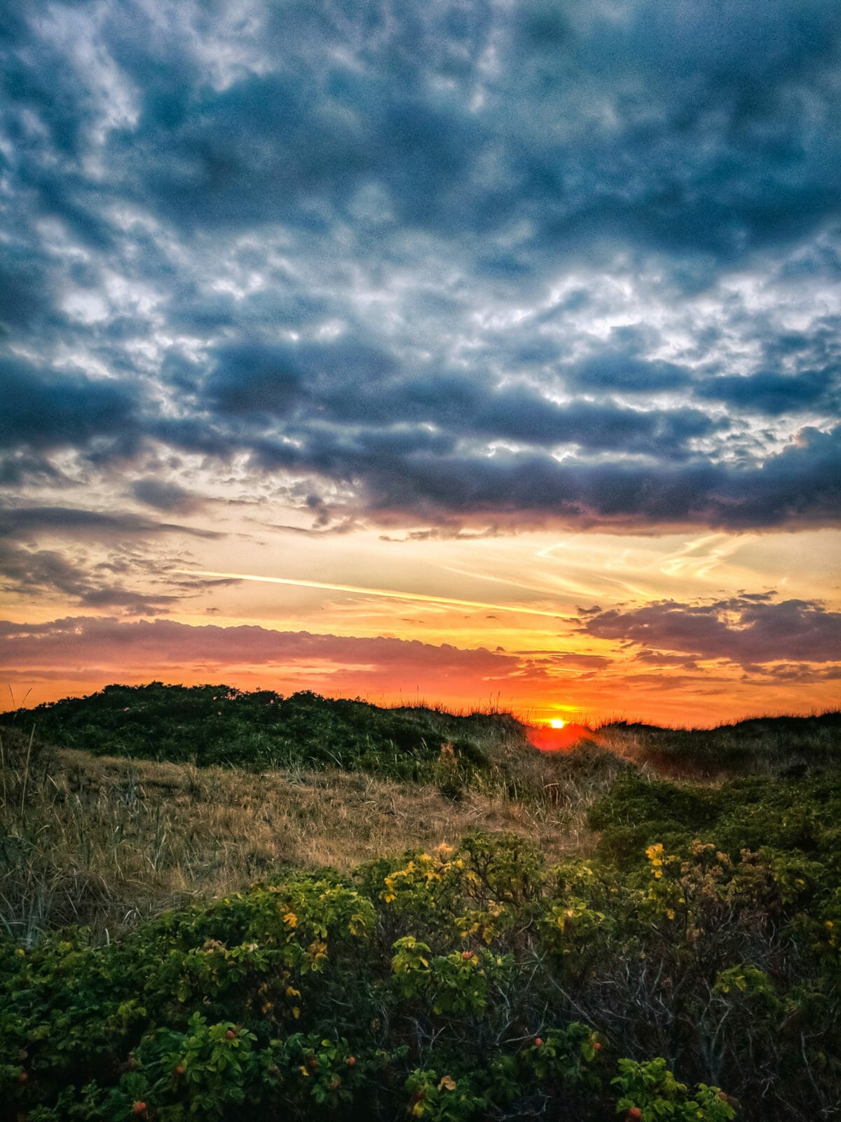 ATEMBERAUBENDE NATUR ERLEBEN IN SKANE, SCHWEDEN 48
