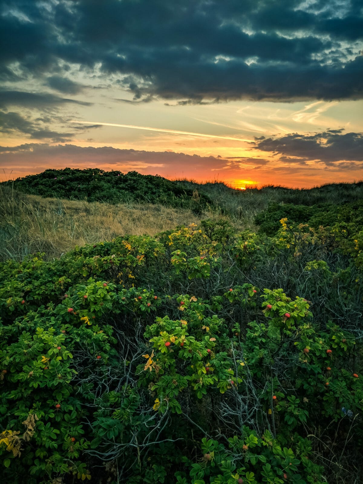 ATEMBERAUBENDE NATUR ERLEBEN IN SKANE, SCHWEDEN 51