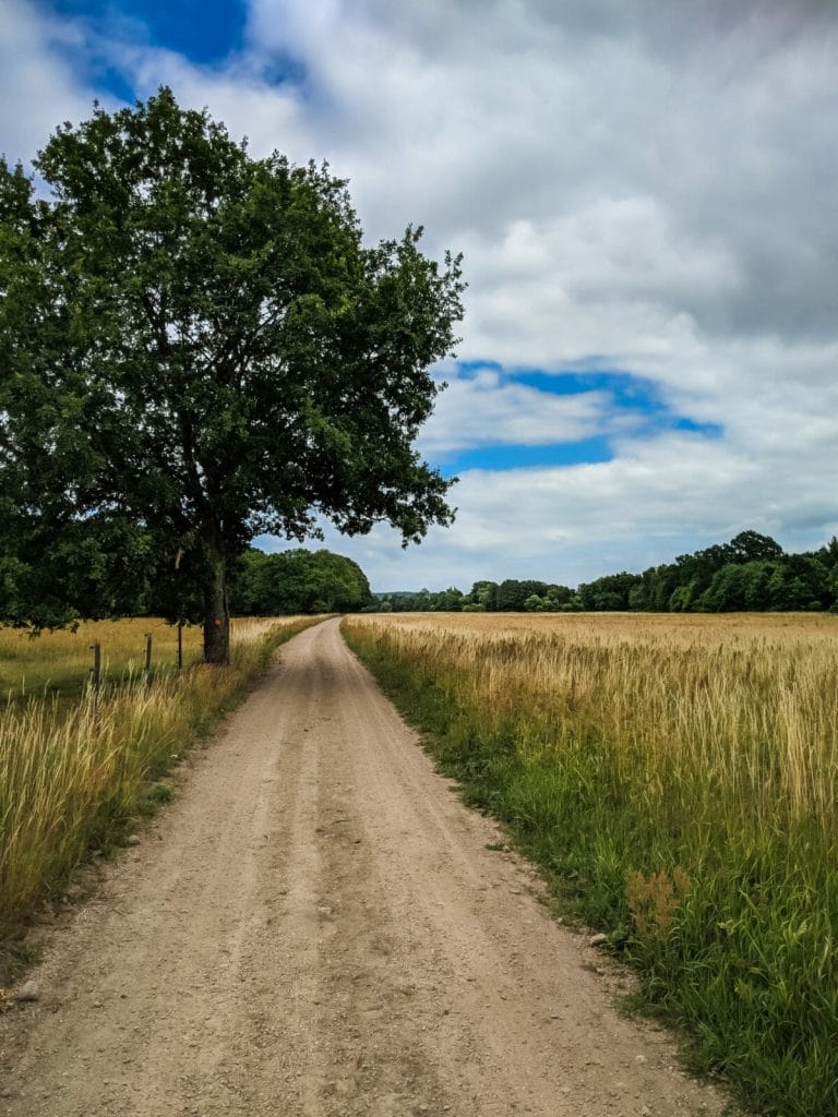 DER ULTIMATIVE GUIDE FÜR ÖSTERLEN IN SÜDSCHWEDEN 5