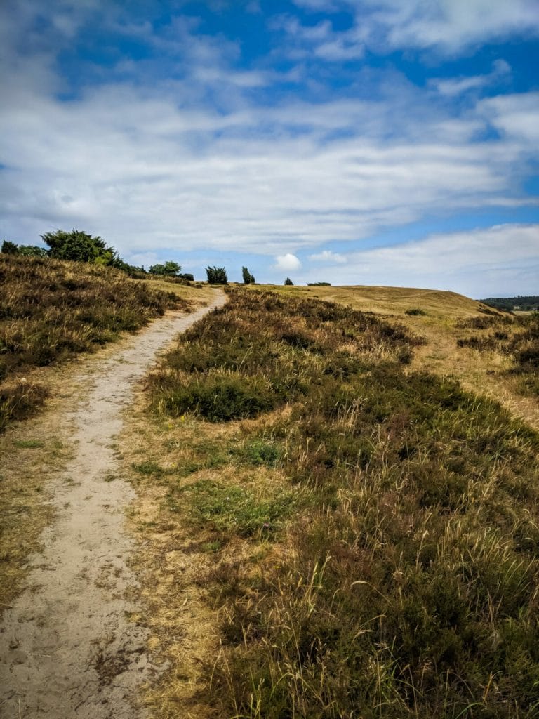 DER ULTIMATIVE GUIDE FÜR ÖSTERLEN IN SÜDSCHWEDEN 6