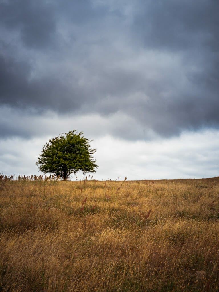 A PHOTO LOVERS GUIDE TO ÖSTERLEN IN SOUTHERN SWEDEN 8 A PHOTO LOVERS GUIDE TO ÖSTERLEN IN SOUTHERN SWEDEN 8