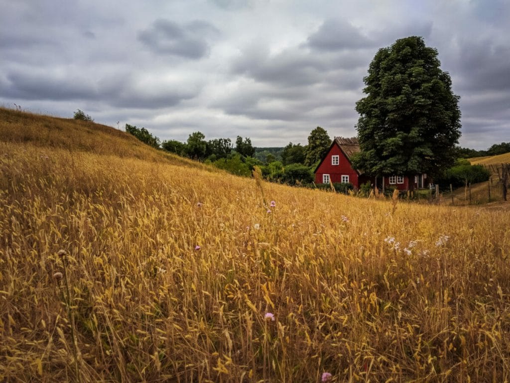 DER ULTIMATIVE GUIDE FÜR ÖSTERLEN IN SÜDSCHWEDEN 4