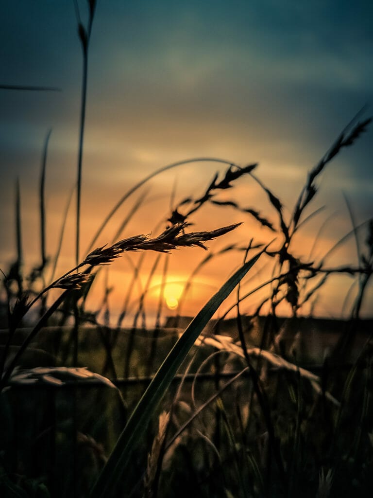 A PHOTO LOVERS GUIDE TO ÖSTERLEN IN SOUTHERN SWEDEN 27 A PHOTO LOVERS GUIDE TO ÖSTERLEN IN SOUTHERN SWEDEN 27