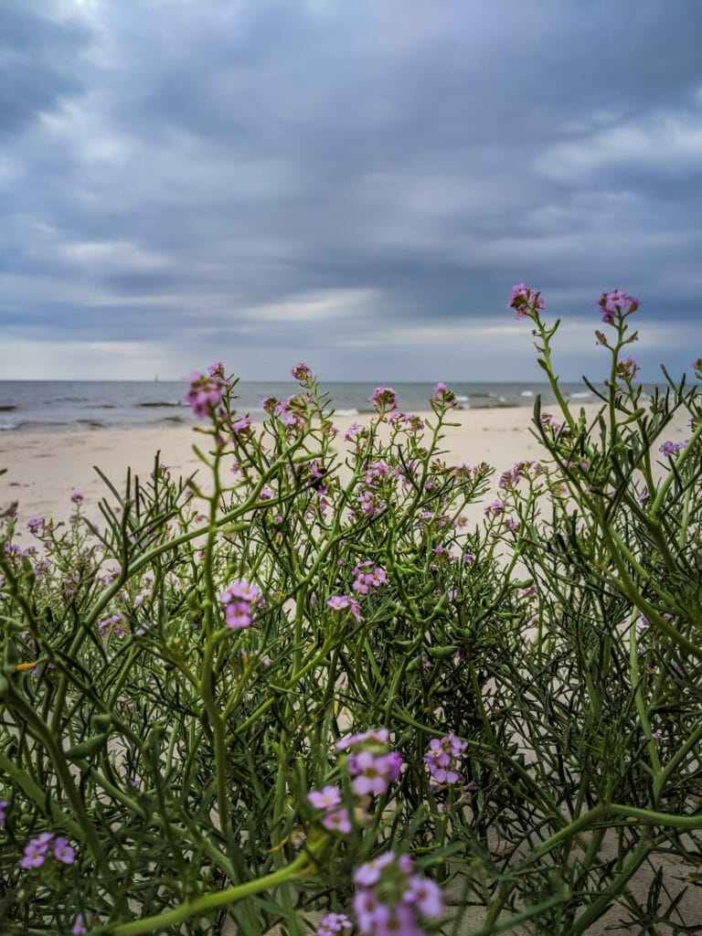 A PHOTO LOVERS GUIDE TO ÖSTERLEN IN SOUTHERN SWEDEN 39 A PHOTO LOVERS GUIDE TO ÖSTERLEN IN SOUTHERN SWEDEN 39