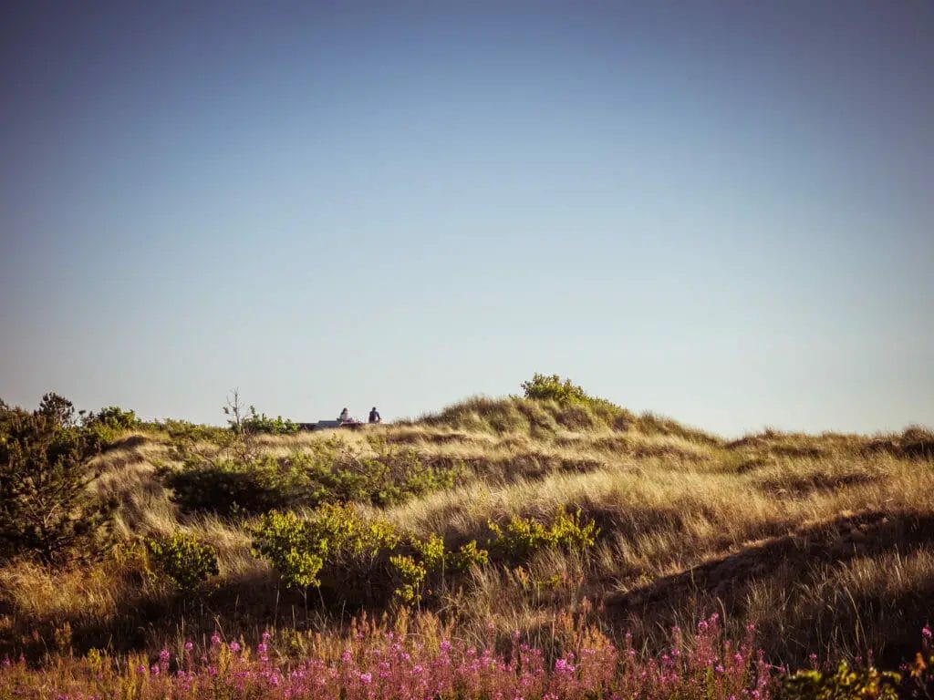 A PHOTO LOVERS GUIDE TO SKÅNE, SWEDEN 34