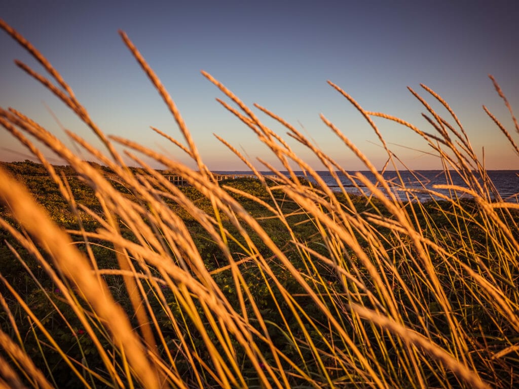 A PHOTO LOVERS GUIDE TO SKÅNE, SWEDEN 35 A PHOTO LOVERS GUIDE TO SKÅNE, SWEDEN 35