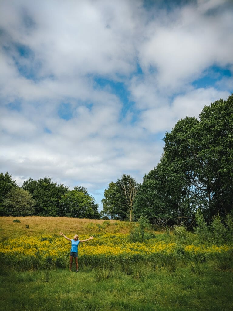 A PHOTO LOVERS GUIDE TO SKÅNE, SWEDEN 50 A PHOTO LOVERS GUIDE TO SKÅNE, SWEDEN 50