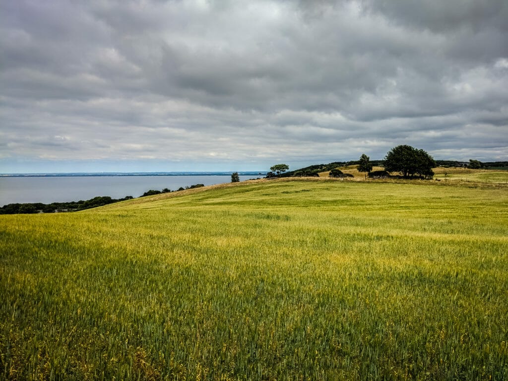 SÜDSCHWEDEN - DER PERFEKTE GUIDE FÜR DIE REGION SKANE 45 SÜDSCHWEDEN - DER PERFEKTE GUIDE FÜR DIE REGION SKANE 43