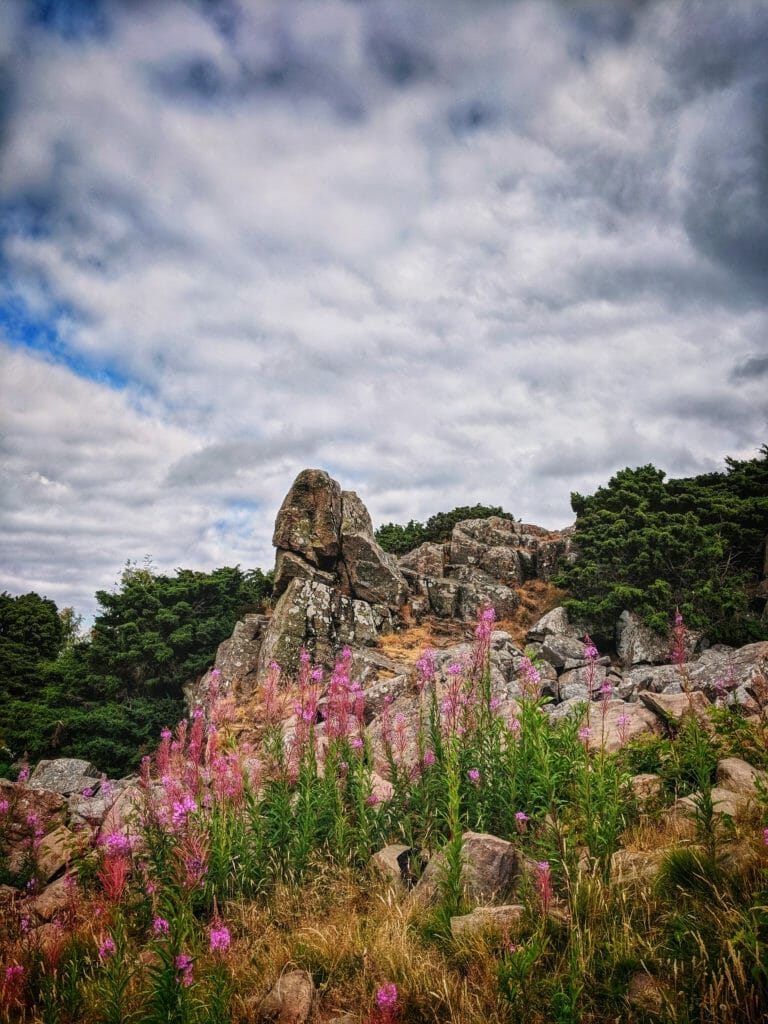 A PHOTO LOVERS GUIDE TO SKÅNE, SWEDEN 58 A PHOTO LOVERS GUIDE TO SKÅNE, SWEDEN 58