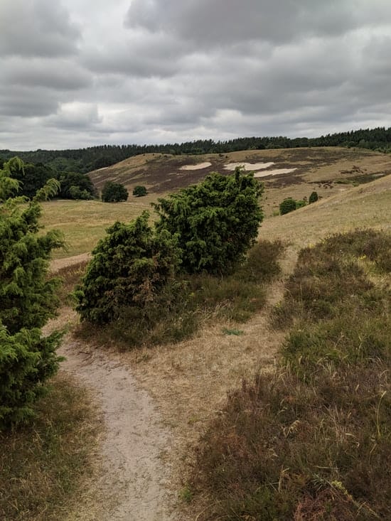 Österlen Spring Trail - Strecke2