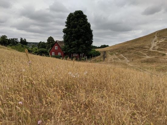 Österlen Spring Trail - Strecke3